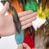 Natural Cock Feathers 5-7inch Colorful Pheasant Feather for Crafts Jewelry Making Accessory Party Clothing Decoration