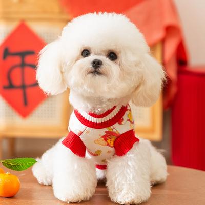 Golden Snake Annunciation Pet Clothes Festive Chinese New Year Wool Wool Teddy Bigbear Cat New Year Sweater Dog Clothes