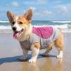 Breathable Mesh Pet Cooling Shirt Sun Protection Dog Ice Cool T-shirt  Outdoor Walking Dog