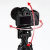 Sanwa Supply for Digital SLR Cameras and Video Type DG-CAM21 Multi-Stand Cameras, 3-Tier