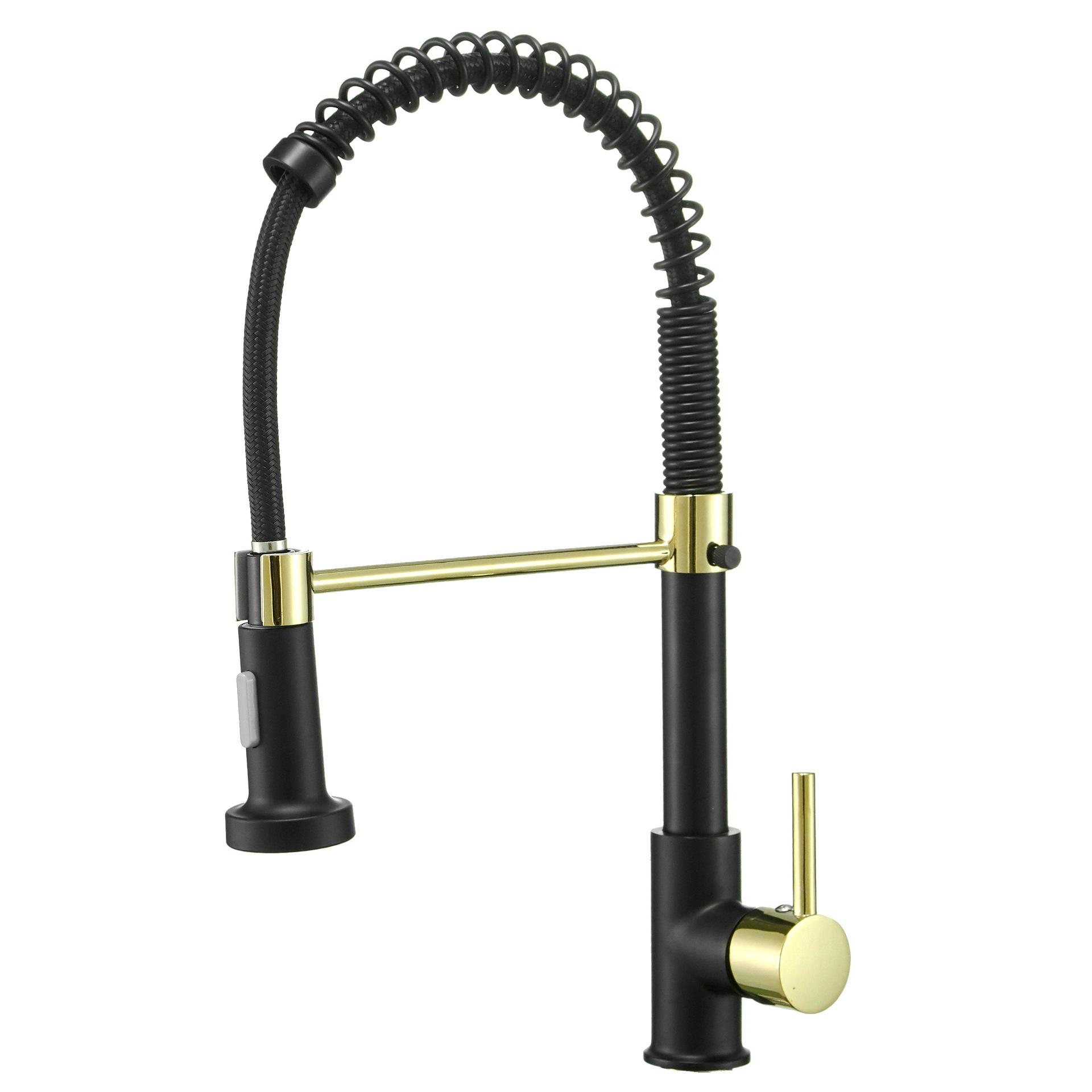 

DANWEILE All-Copper Rotatable Black & Gold Kitchen Faucet with Pull-Out Spray and Dots.