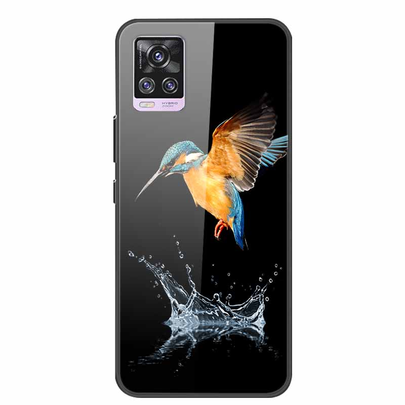 For Vivo V20 Pro Phone Case V 20 Pro Soft Bumper Tempered Glass Hard Back Covers Cases For Vivo V20 Pro Case 6.44" Coque Fundas