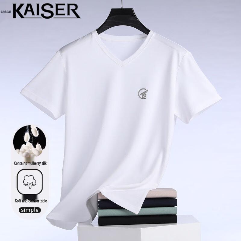 Kaisar Men's V-Neck Silk Blend Short Sleeve T-Shirt