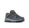 Треккинговые ботинки Columbia Redmond IV Low Waterproof
