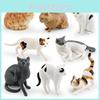 Exquisite Plastik-Katzenmodell-Figur Kurzhaar- und Perserkatze Heim-Ausstellung