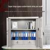 Gopai Commercial File Security Cabinet