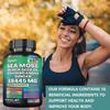 Seaweed Black Seed Oil, Turmeric Yellow Seaweed Supplement 120 Capsules