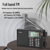 Newmine T-6607 Portable Digital Radio & Speaker CN Plug (adapter Included)