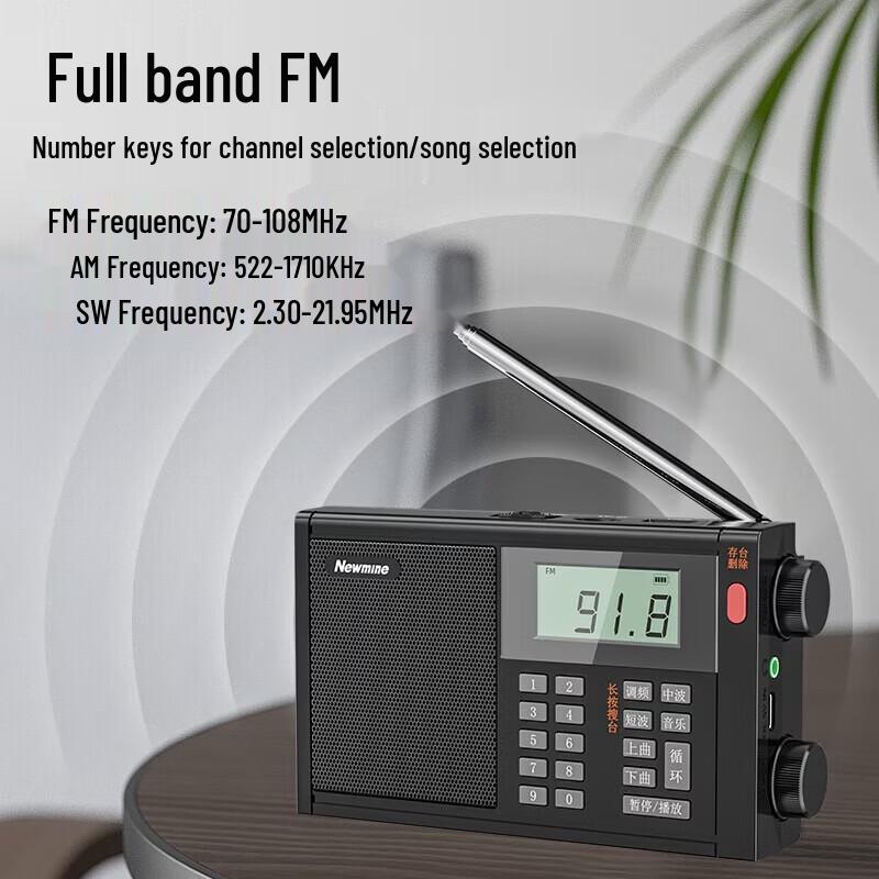 Newmine T-6607 Portable Digital Radio & Speaker CN Plug (adapter Included)