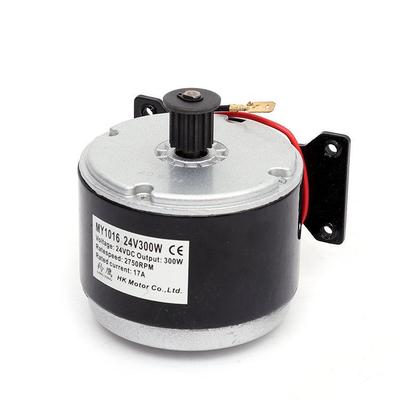 MY1016 Petit Dauphin 24V 300W Moteur Synchrone à Balais pour Véhicule Électrique