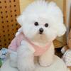 Cute Cartoon Dog Hooded Vest Thicken Warm Pet Cross Dressing Clothes Comfortable with D-ring Cat Outerwear Daily Walk
