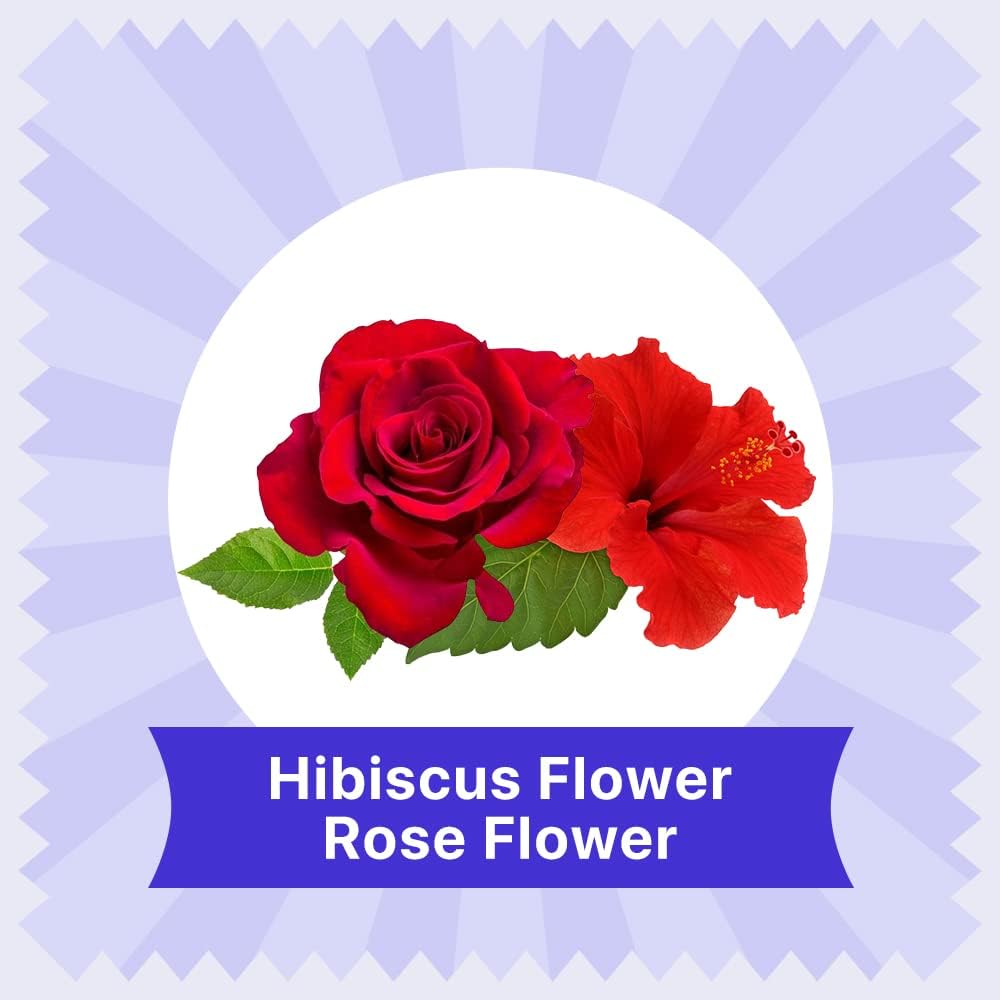 BLUE TEA - Hibiscus Rose Tea - 60 Tea Bags - Plant Based || SKIN GLOW ENHANCING TEA || Caffeine Free - Flower Based - Tangy Flavor - Vegan