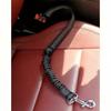 Perros – Collares y correas
