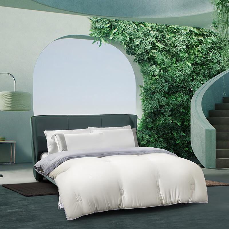 Mercure Home Textiles DH Theanine Herbal Antibacterial All-Season Quilt