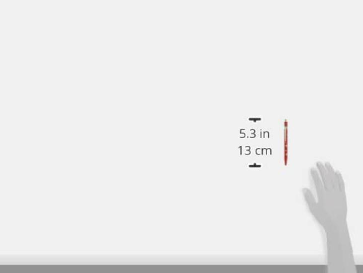 CARAN Ballpoint Pen 849 Classic Line Swiss Flag Official Import D'ACHE Oil-Based NF0849-253