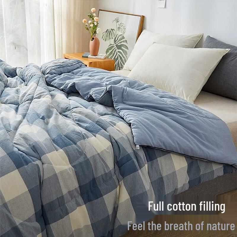 Xinjiang Cotton Cover Winter Quilt