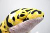 Take Off Animania Leopard Gecko Plush Toy [with Music Box]