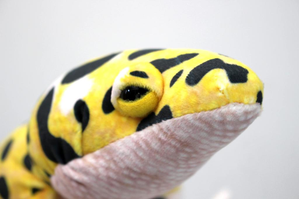 Take Off Animania Leopard Gecko Plush Toy [with Music Box]