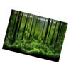 PVC Adhesive Underwater Forest Tank Background Poster Backdrop Decoration Paper