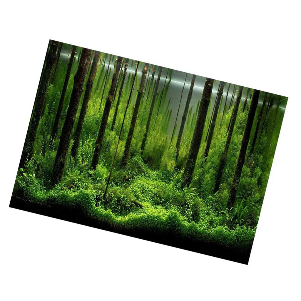 PVC Adhesive Underwater Forest Tank Background Poster Backdrop Decoration Paper