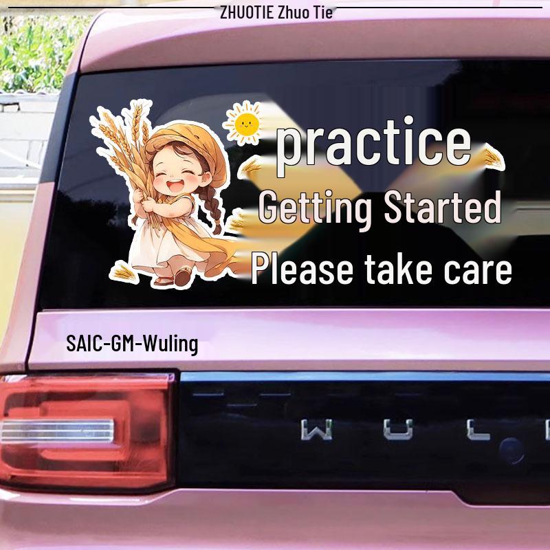 New Driver Alert! Cartoon Rear Windshield Sticker