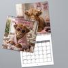 Highland Cow In Robes 2027 Hanging Desk Calendar Coil Bound Large Lightweight Planner Nail Free Mount Office Home Birthday Holid