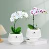 1PC 5-Inch breathable and leak-proof orchid pot, 1-piece set, African violet flower pot with hollow trim, PP resin white orchid container with tray