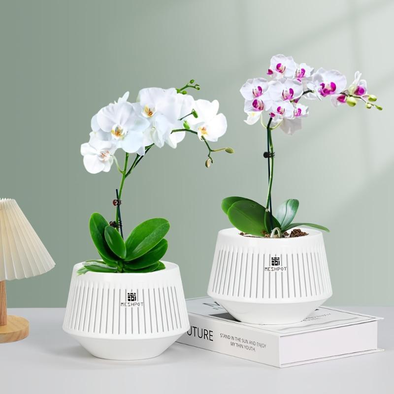 1PC 5-Inch breathable and leak-proof orchid pot, 1-piece set, African violet flower pot with hollow trim, PP resin white orchid container with tray