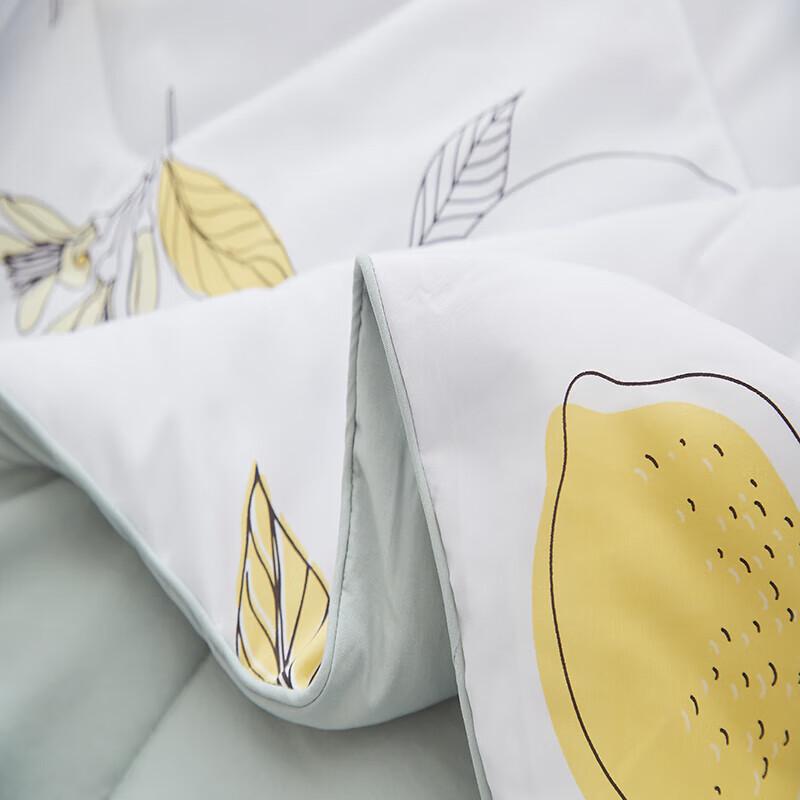 Hengyuanxiang Summer Lemon Soft Cool Quilt