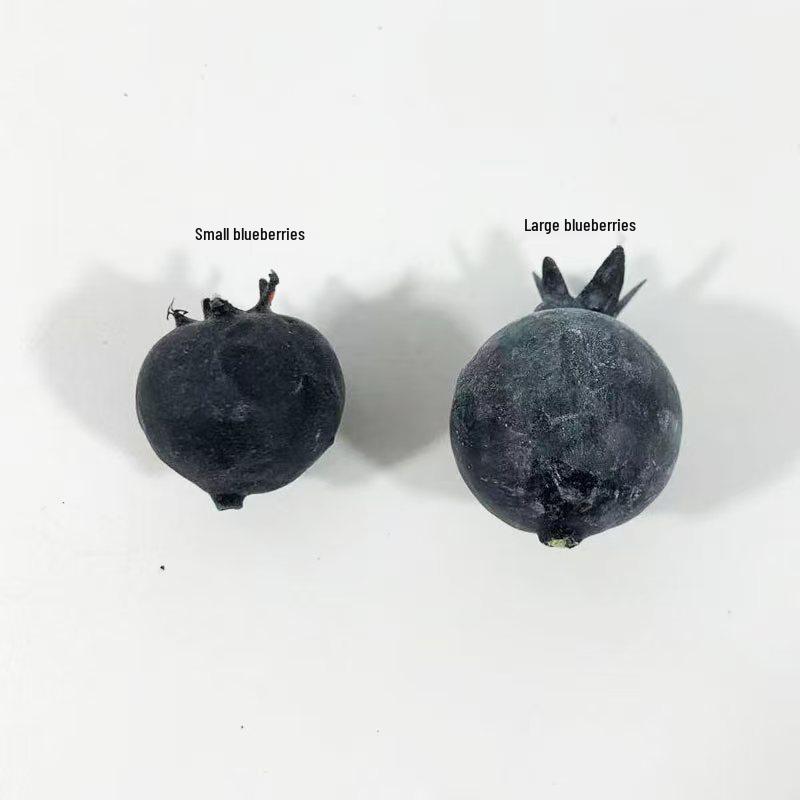 Blueberry Foam Model Fake Fruit & Vegetable Props for Photography Displays & Fresh Fruit Toys