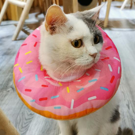 Collier de récupération pour animaux de compagnie, doux, confortable, anti-rayures, collier de protection pour chat et chien, fournitures pour animaux de compagnie