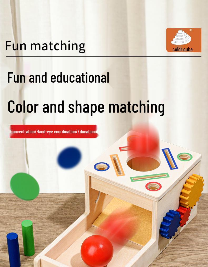 Montessori Color & Shape Recognition Building Blocks for Toddlers