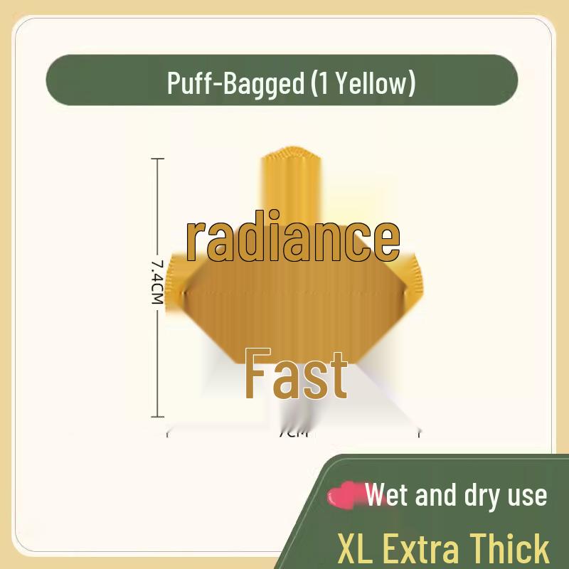 Dual-Use Beauty Puff: Cushion, Powder, Concealer, Wet/Dry Puff for Makeup Artists