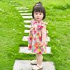 Baby Girl Dress, Summer Sweet Flower Ruffled Sleeve Children'S Sleeveless Clothes Suitable for 0-3 Years Old