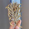 Elegant Colorful Peacock Feather Brooch with Rhinestones – Vintage Alloy Design for Men & Women