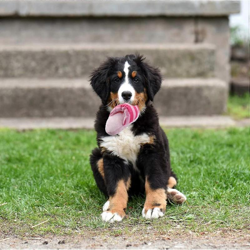Plush Dog Toy, Cute Slippers, Interactive Toy for Medium Dogs, Chew Toy to Reduce Boredom (Pink)