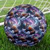 1pc Winter Fox Aurora Theme Soccer Ball Football, Size 5, Lightweight PVC, Outdoor Training Soccer Ball,Sports Gift T61463