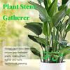 4pc Plant Fixing Clip Plant Climbing Support Frame Flower Stem Folding Frame Stem Finishing Period Gardening Tools and Equipment
