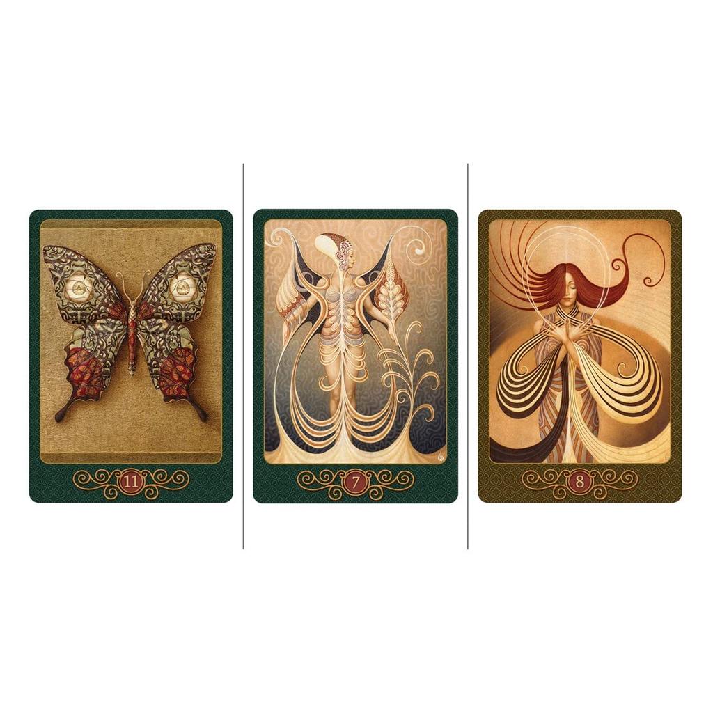 Kancharo Orakelkarten, 41-teiliges Tarotkarten-Set [In Dreams Oracle], Enthält japanische Orakelkartengrundlagen & Beutel (Authentisch)