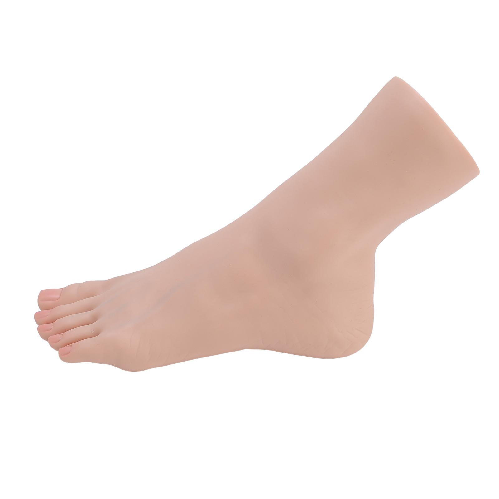 

Силіконова модель стопи М яка на дотик Гнучкий суглоб Позиціонування Реалістична стопа манекена для нейл-арту Дисплей для ювелірних виробів Ліва