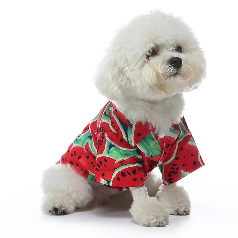 Thin Fruit Printed Dog Shirts Leisure Pet Clothes Pet Accessories Dog T-shirt  Poodle Schnauzer