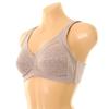 Venus Wireless Bra Stretch Lace Hard Type Vgbh111a