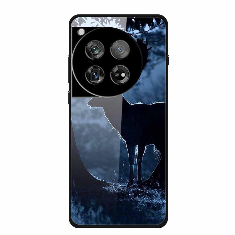 Personalized Seven-Colored Tempered Glass Phone Case for OnePlus 12 - Unisex