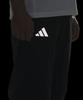 Adidas Terrex Xfloric Windbreaker Zipper-Off Pants - Black / Kd4398