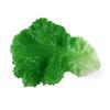 GuCra Vegetable Model Lettuce Greens Food Sample 5-Pack