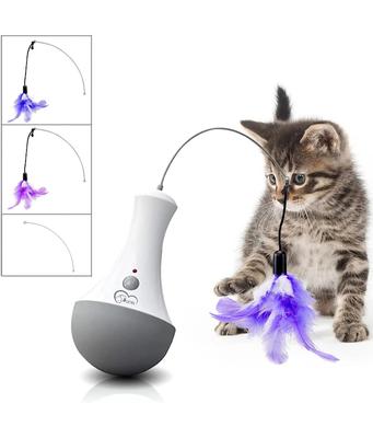 Katzen – Katzenspielzeug
