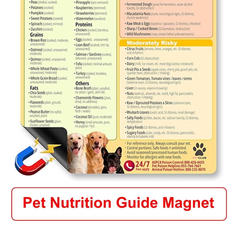 Educational Dogs Food Safety Magnetic Poster Dogs Feeding Safety Magnet For Responsible Pet Caregivers