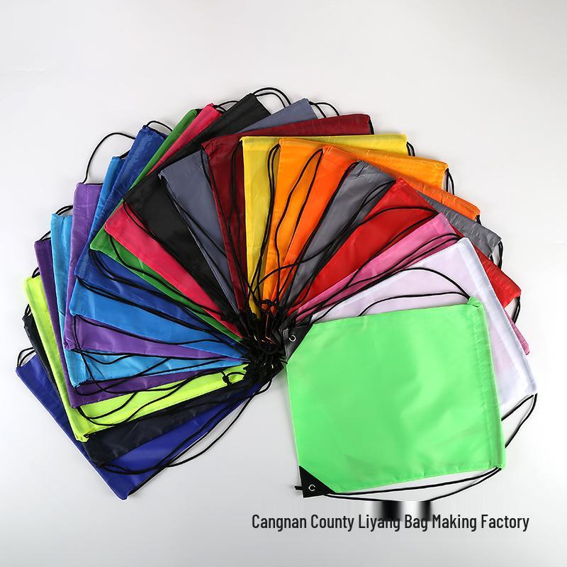 Custom 210T Polyester Double Shoulder Drawstring Backpack & Portable Shoe Storage Bag