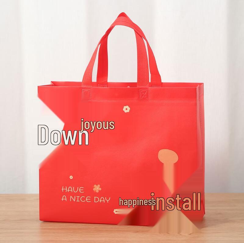 

ZISIZ Festive Red Gift Bag
