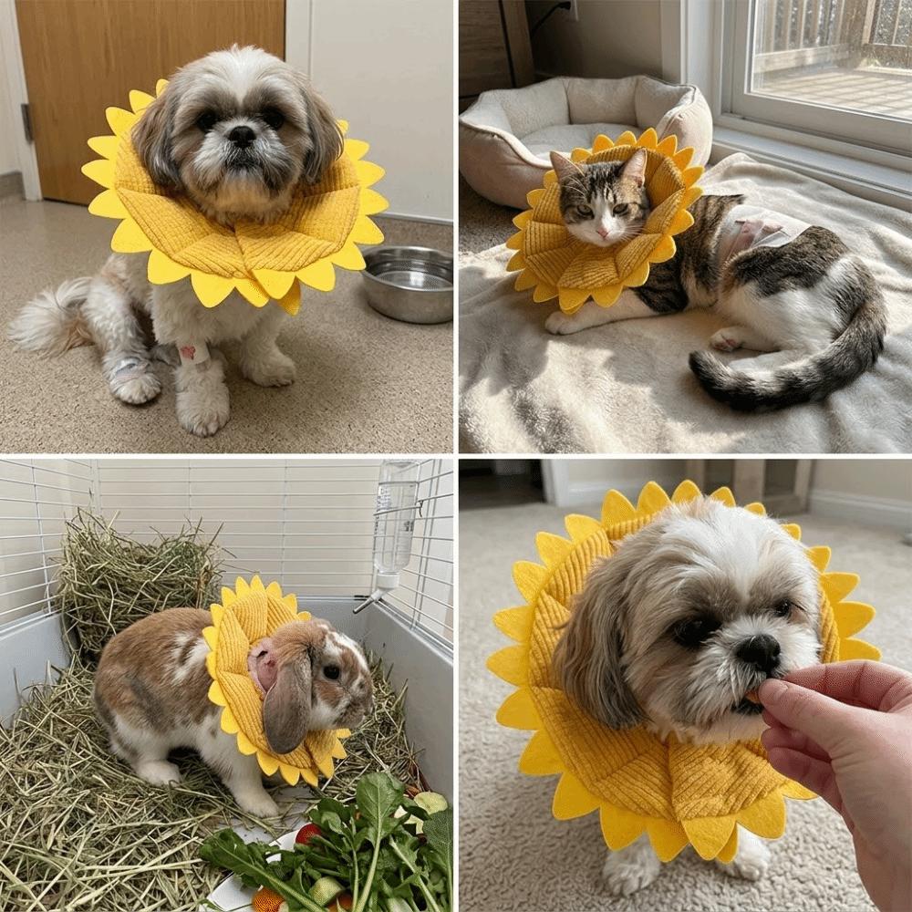 Sunflower Shaped et Recovery Collar Adjustable Fit Dog Cone Collar Skin Irritation Relief